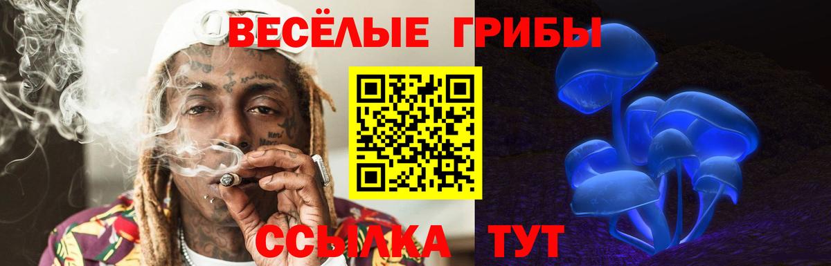 Псилоцибиновые грибы GOLDEN TEACHER  Вход с VPN  Заволжье 